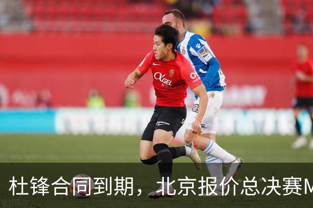 杜锋合同到期，北京报价总决赛MVP，辽篮旧将加盟NBL，山东官宣更换教练