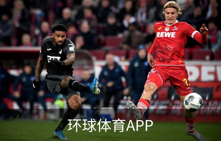 关于环球体育APP